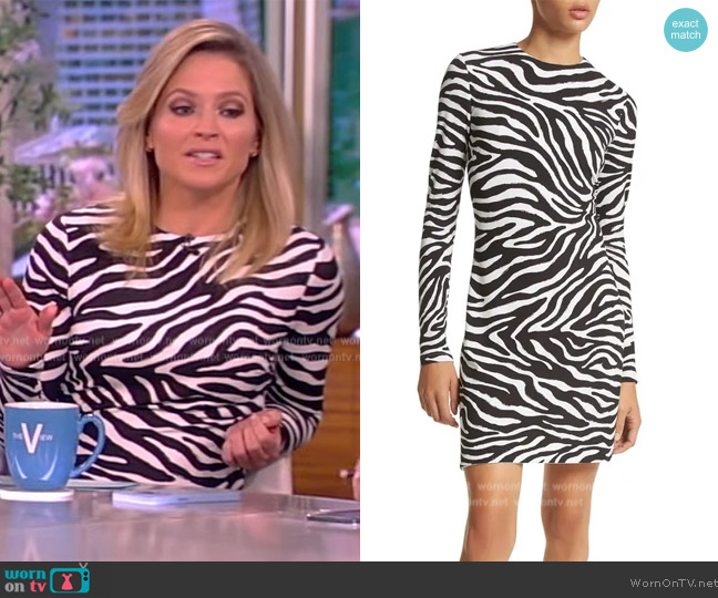 WornOnTV: Sara’s zebra stripe mini dress on The View | Sara Haines ...