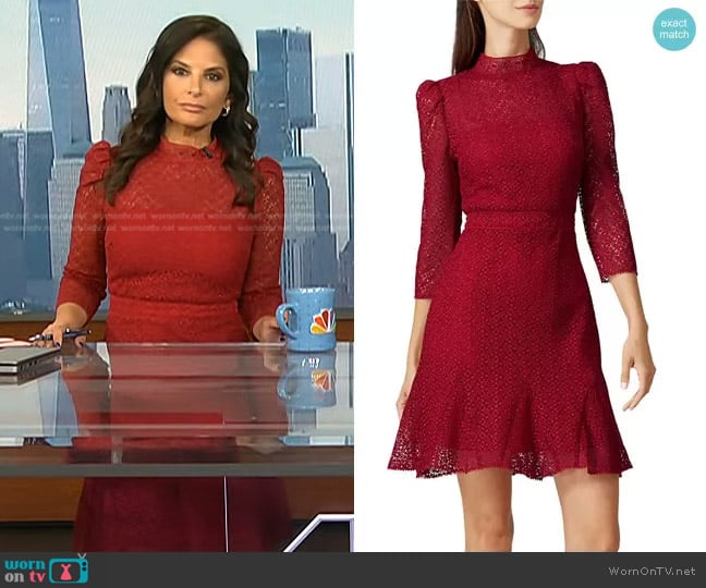 ML Monique Lhuillier Puff Shoulder Dress worn by Darlene Rodriguez on Today