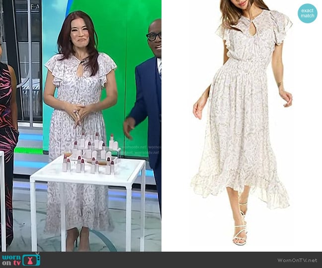 Rebecca Taylor Sleeveless Zadie Smock Dress worn by Amy E. Goodman on Today