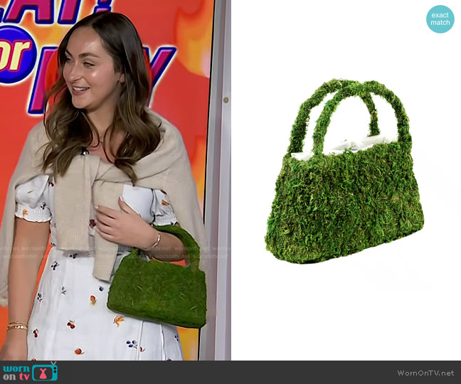 Ashland Small Form Moss Purse worn by Sydney Adler on Today