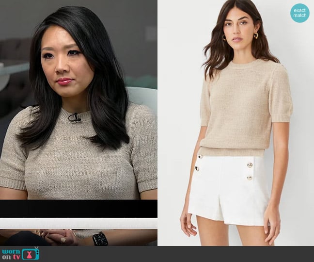 Ann Taylor Marled Puff Sleeve Sweater Tee in Toasted Oat worn by Nancy Chen on CBS Mornings
