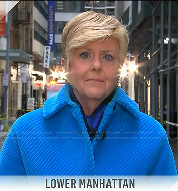 Anne Thompson's blue coat on Today