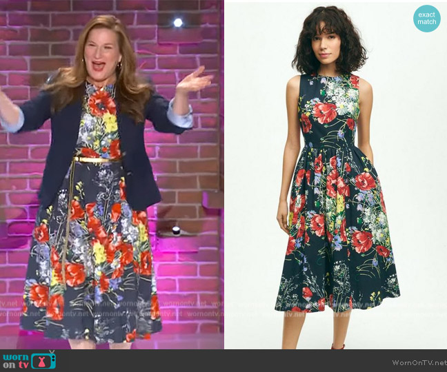 Brooks Brothers Stretch Cotton Dobby Flare Dress worn by Ana Gasteyer on The Kelly Clarkson Show