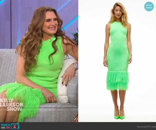 Dodiee Layered fringe midi dress in vert fluo worn by Brooke Shields on The Kelly Clarkson Show