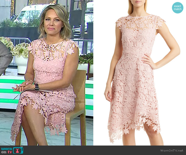 Eliza J Lace Asymmetric Cocktail Dress worn by Dylan Dreyer on Today