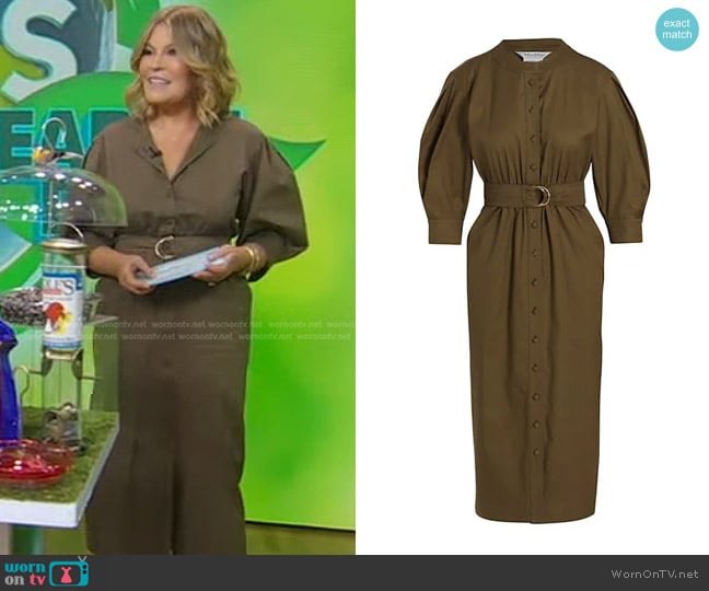 Max Mara Ughetta Balloon Sleeve Stretch Cotton Shirtdress worn by Tory Johnson on Good Morning America