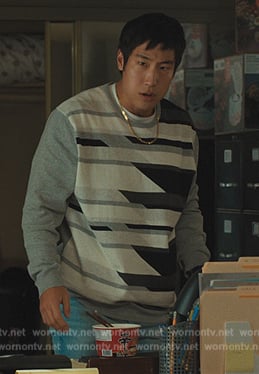 Paul's gray geometric print sweater on Beef