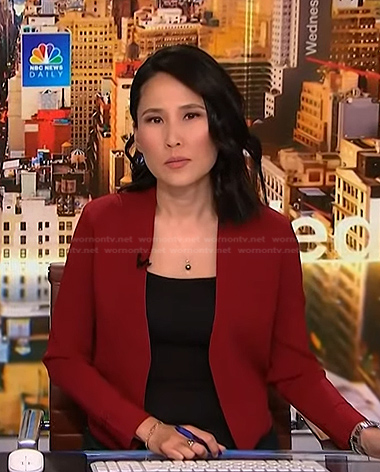 Vicky's red cardigan on NBC News Daily