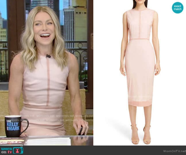 Victoria Beckham Stretch Silk Organza Sheath Dress worn by Kelly Ripa on Live with Kelly and Mark