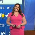 Violeta Yas’s pink peplum dress on NBC News Daily