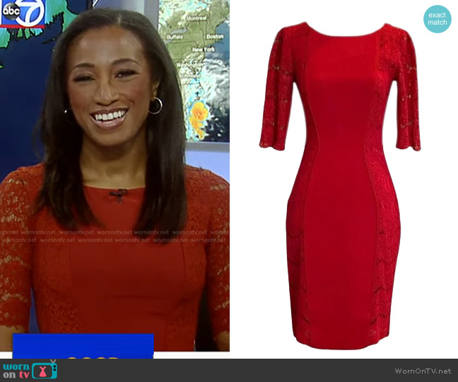 Antonio Melani Elbow Sleeve Lace Trim Dress worn by Brittany Bell on Good Morning America