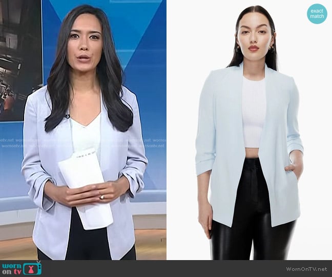 Babaton Power Hip Blazer worn by Emilie Ikeda on Today