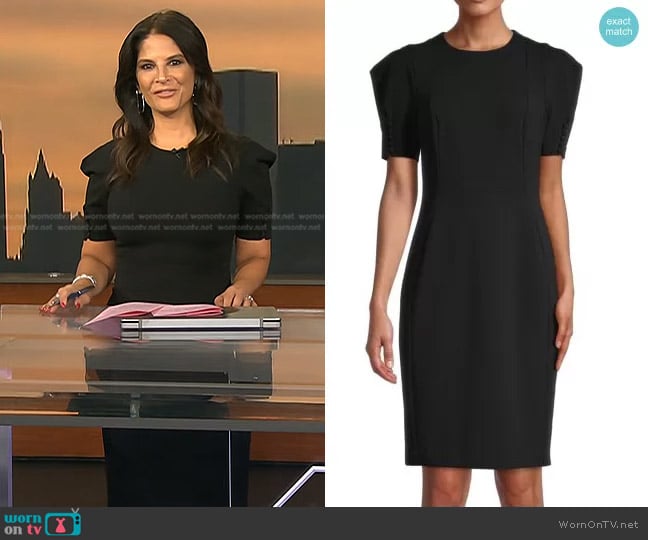 Calvin Klein Solid-Hued Puff-Sleeve Sheath Dress worn by Darlene Rodriguez on Today