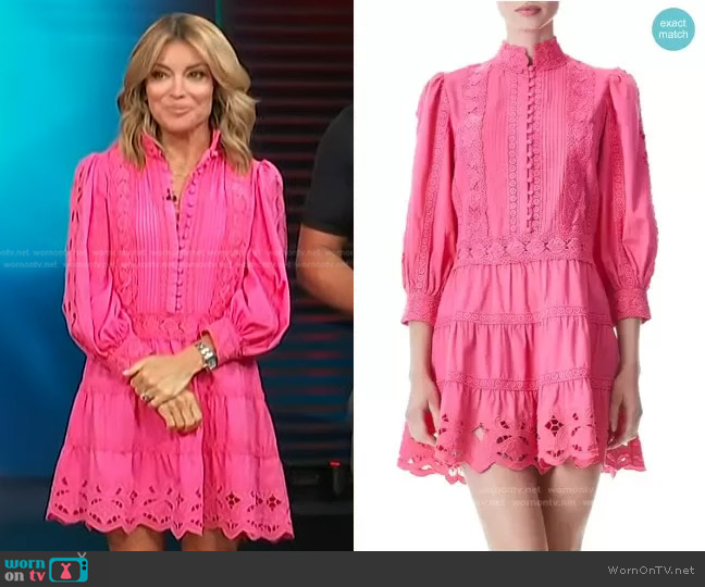 Clark Dress by Alice + Olivia worn by Kit Hoover on Access Hollywood