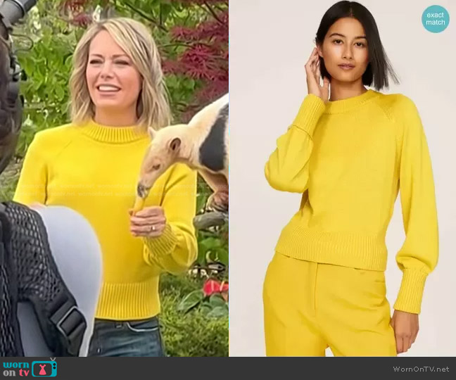 Marissa Webb Collective Crewneck Sweater in Yellow worn by Dylan Dreyer on Today