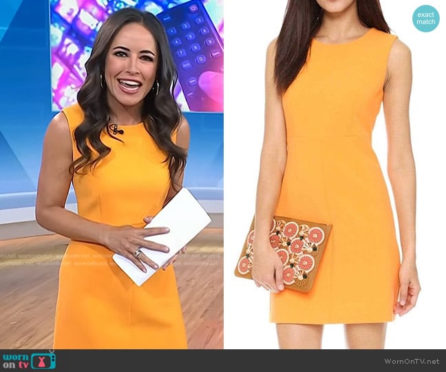 Diane von Furstenberg Carrie Shift Dress worn by Kaylee Hartung on Today