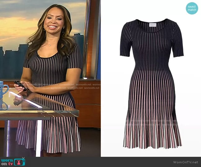 Milly Inset Stripe Flare Godet Dress worn by Adelle Caballero on Today