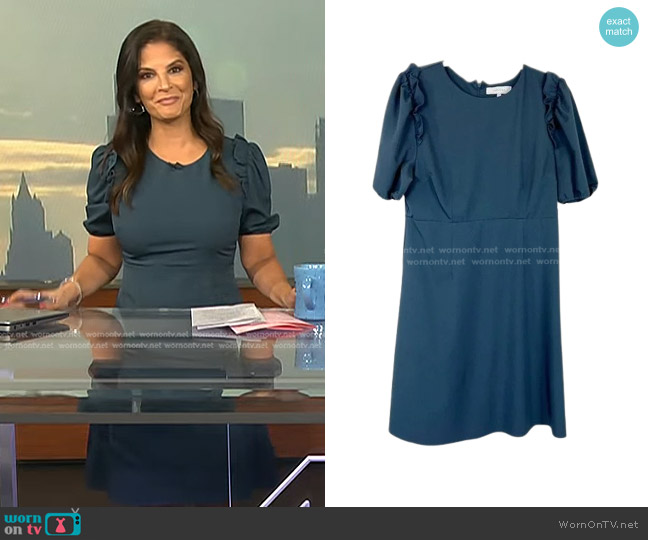 Lark & Ro Short Sleeve Dress in Slate Blue worn by Darlene Rodriguez on Today