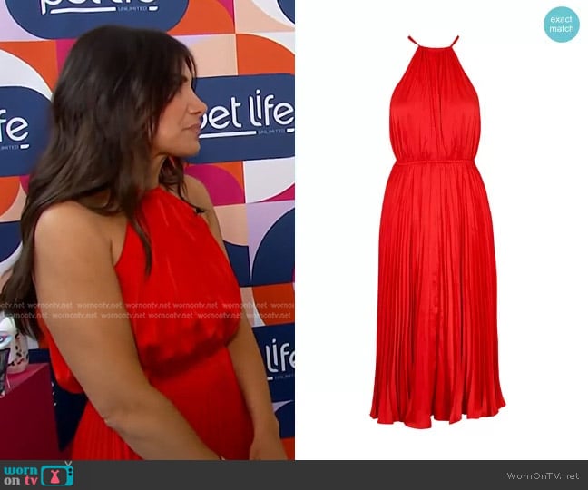 Lucy Paris Kora Pleated Midi Dress worn by Joelle Garguilo on E! News