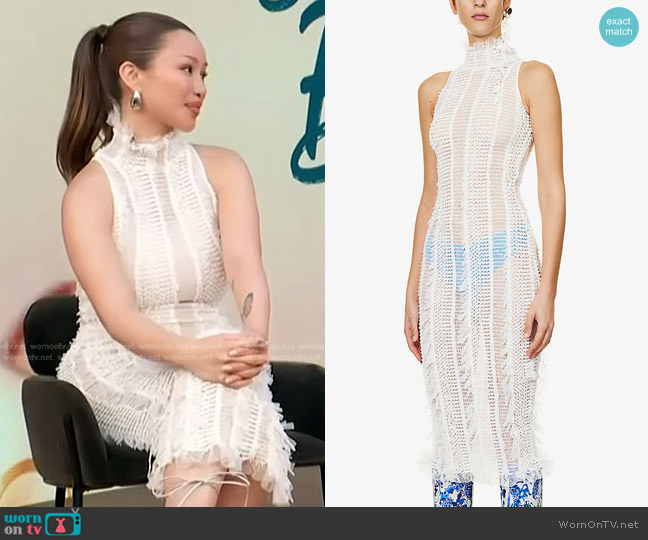 Roberta Einer Angel Fringed Mesh Woven Midi Dress worn by Sarah Cheung on Access Hollywood