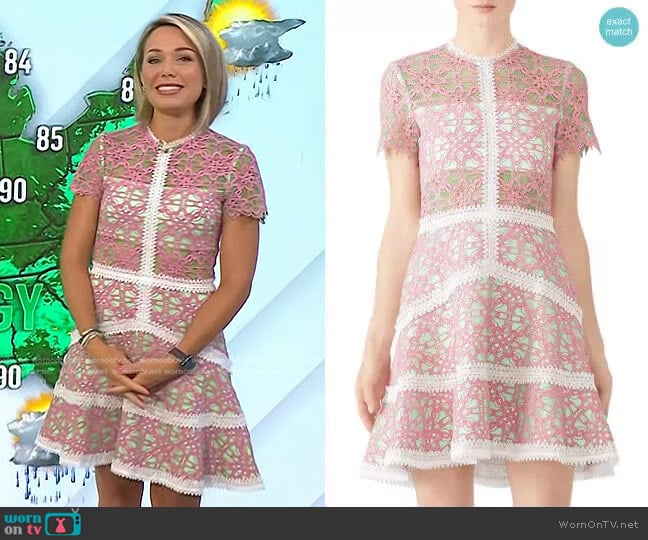 WornOnTV: Dylan’s pink lace dress on Today | Dylan Dreyer | Clothes and ...