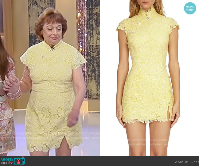 Sau Lee Rae Lace Overlay Sheath Dress worn by Janet Merryman on Tamron Hall Show