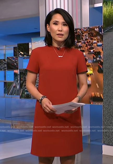 Vicky's red short sleeve shift dress on NBC News Daily