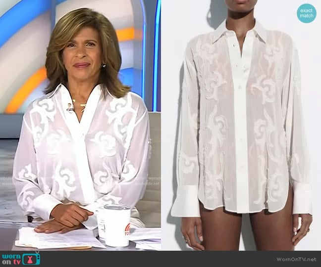 Zara Semi Sheer Embroidered Blouse worn by Hoda Kotb on Today