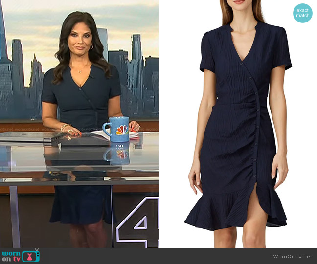 WornOnTV: Darlene Rodriguez’s navy button front dress on Today ...