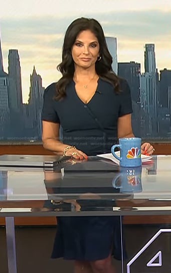 Darlene Rodriguez's navy button front dress on Today