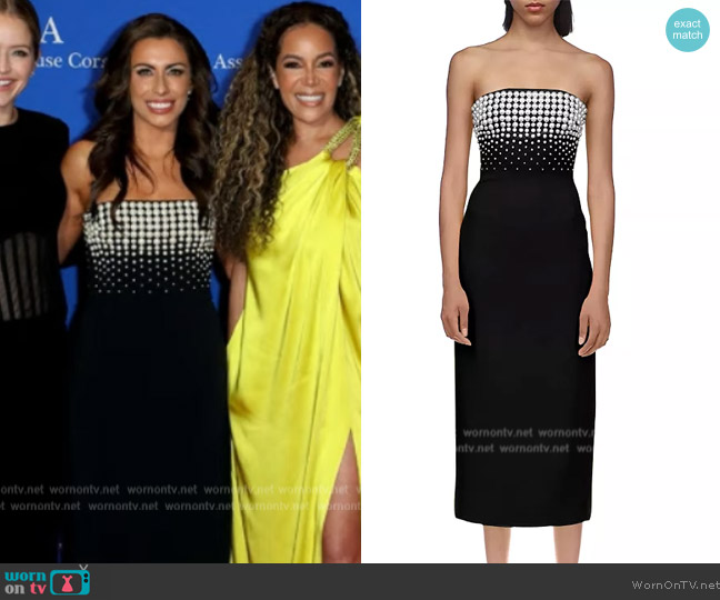 David Koma Embellished Strapless Midi Sheath Dress worn by Alyssa Farah Griffin on The View