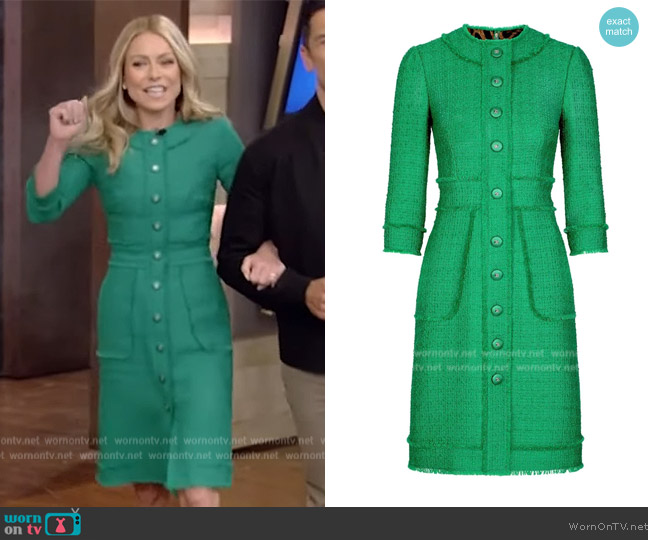 Dolce and Gabbana Button-Front Crew-neck Dress worn by Kelly Ripa on Live with Kelly and Mark