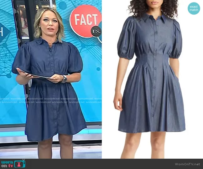 Eliza J Puff Sleeve Shirtdress in Denim worn by Dylan Dreyer on Today