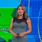 Ginger’s grey houndstooth panel sheath dress on Good Morning America