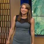 Ginger’s grey houndstooth panel sheath dress on Good Morning America