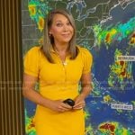 Ginger’s yellow ribbed polo dress on Good Morning America