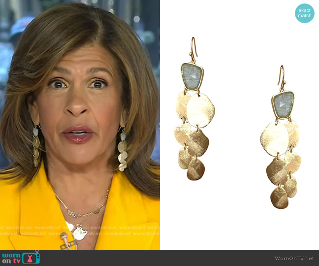 Jennifer Miller Aqua Drop Earrings worn by Hoda Kotb on Today