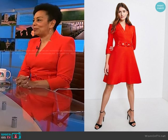 Karen Millen Forever Belted Waist A-Line Mini Dress worn by Sharon Epperson on NBC News Daily