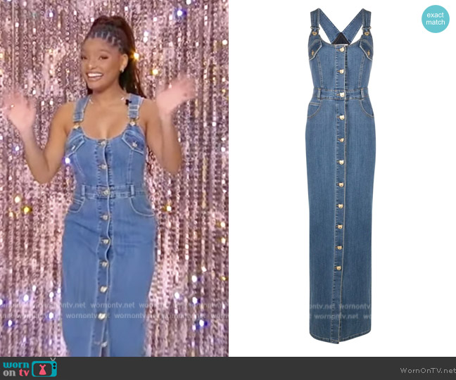 WornOnTV: Halle Bailey’s denim button down dress on Tamron Hall Show ...