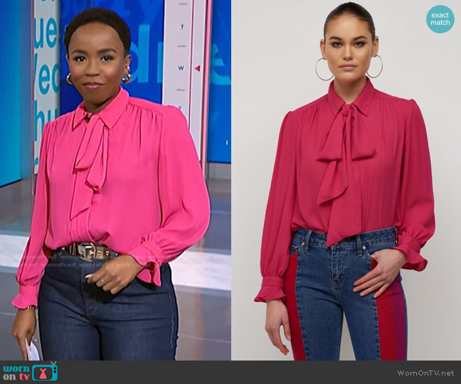 WornOnTV: Zinhle Essamuah’s pink ruffle cuff blouse on NBC News Daily ...