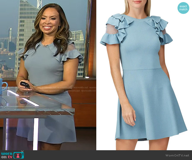 WornOnTV: Adelle’s blue ruffle shoulder dress on Today | Adelle ...