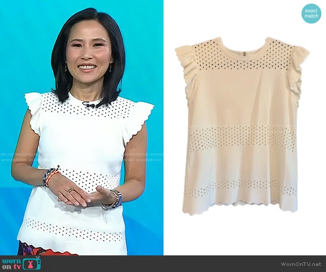 Ted Baker Knit Short Flutter Sleeve Top worn by Vicky Nguyen on Today