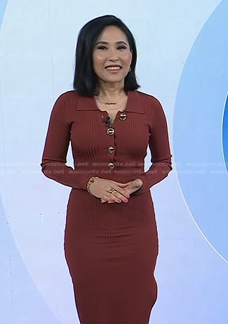 Vicky’s brown ribbed polo dress on Today