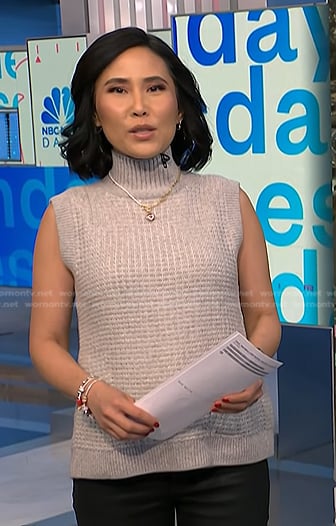 Vicky's grey sleeveless sweater on NBC News Daily