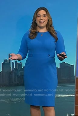 Violeta Yas’s blue sheath dress on NBC News Daily