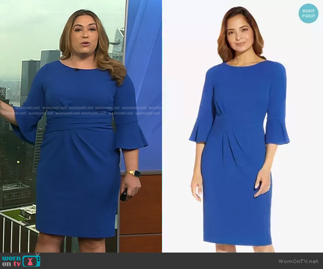WornOnTV: Violeta Yas’s blue bell sleeve sheath dress on NBC News Daily ...