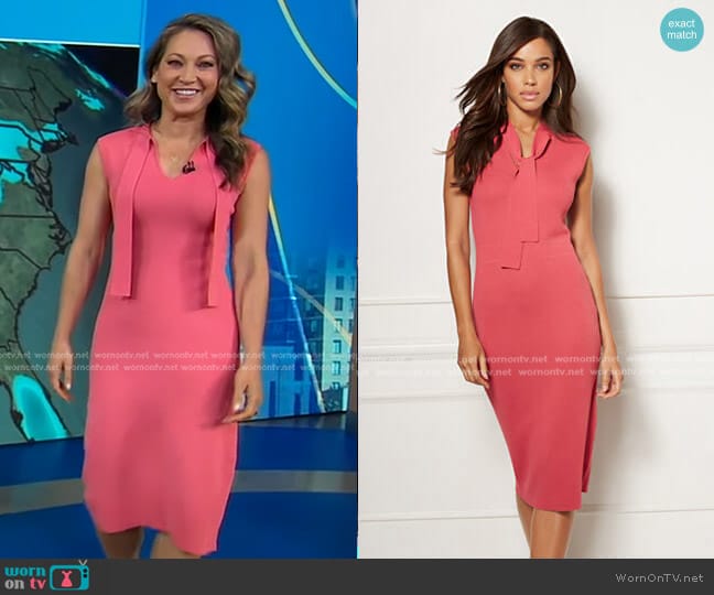 Bella Tie Neck Sweater Dress - Eva Mendes Collection by New York & Company worn by Ginger Zee on Good Morning America