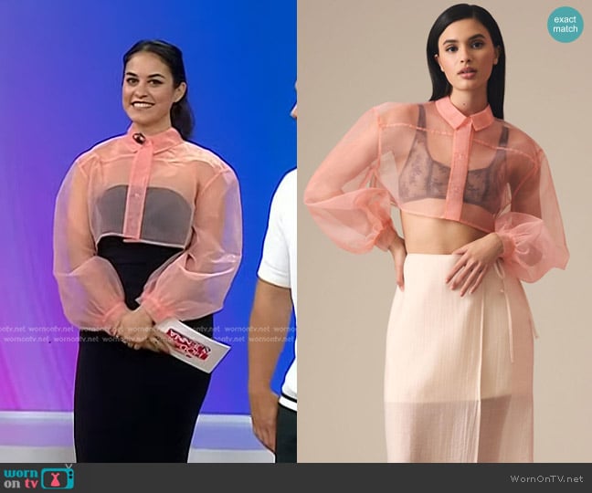 Anthropologie Sheer Crop Blouse in Pink worn by Donna Farizan on Today