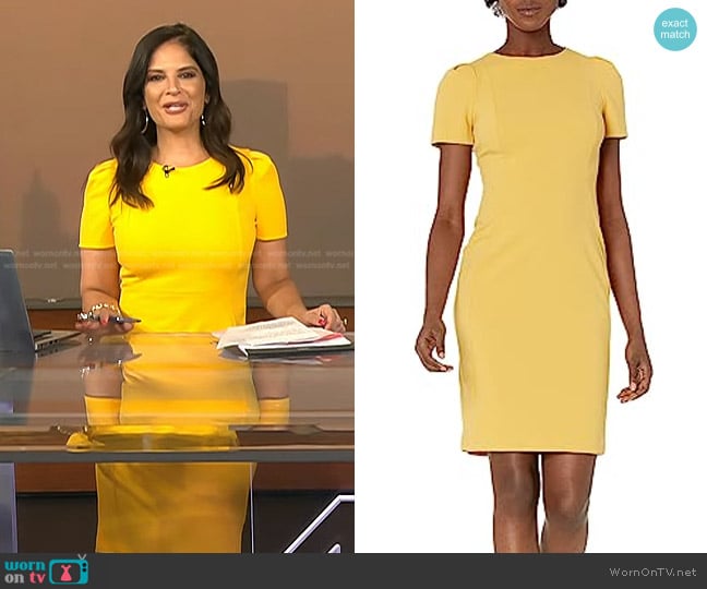 Calvin Klein Sleeveless Fitted Cocktail Sheath Dress worn by Darlene Rodriguez on Today