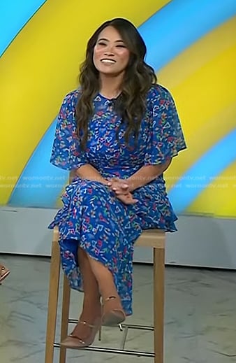 Dr. Pimple Popper Sandra Lee’s blue floral dress on Today